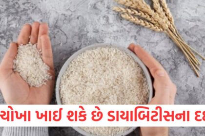 which rice is good for diabetic patients and what type of rice is harmful in diabetes4876