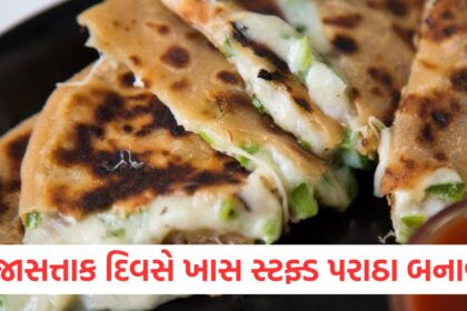 પ્રજાસત્તાક દિવસે ખાસ સ્ટફ્ડ પરાઠા બનાવોwerer