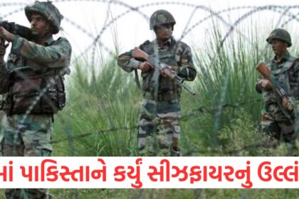 Pakistan violates ceasefire on LOC Indian Army gives strong response1