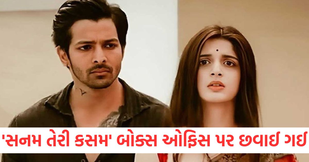 Sanam Teri Kasam was a box office hit breaking so many records in a week1