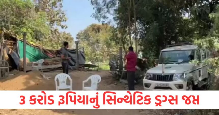 gujrat vadodara drugs raid by police inside a factory running in hut lcltm rptc1