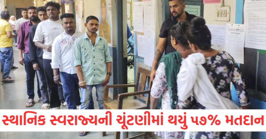 local body elections in gujarat fate of 5084 candidates captured213