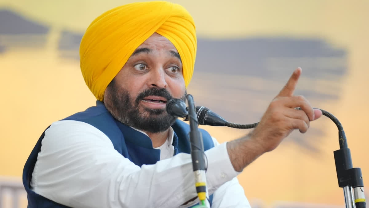 why usa illegal immigrants flights landing in amritsar cm bhagwant mann targets central government312