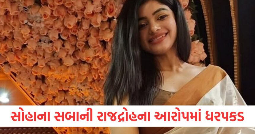 સોહાના સબાની રાજદ્રોહના આરોપમાં ધરપકડ