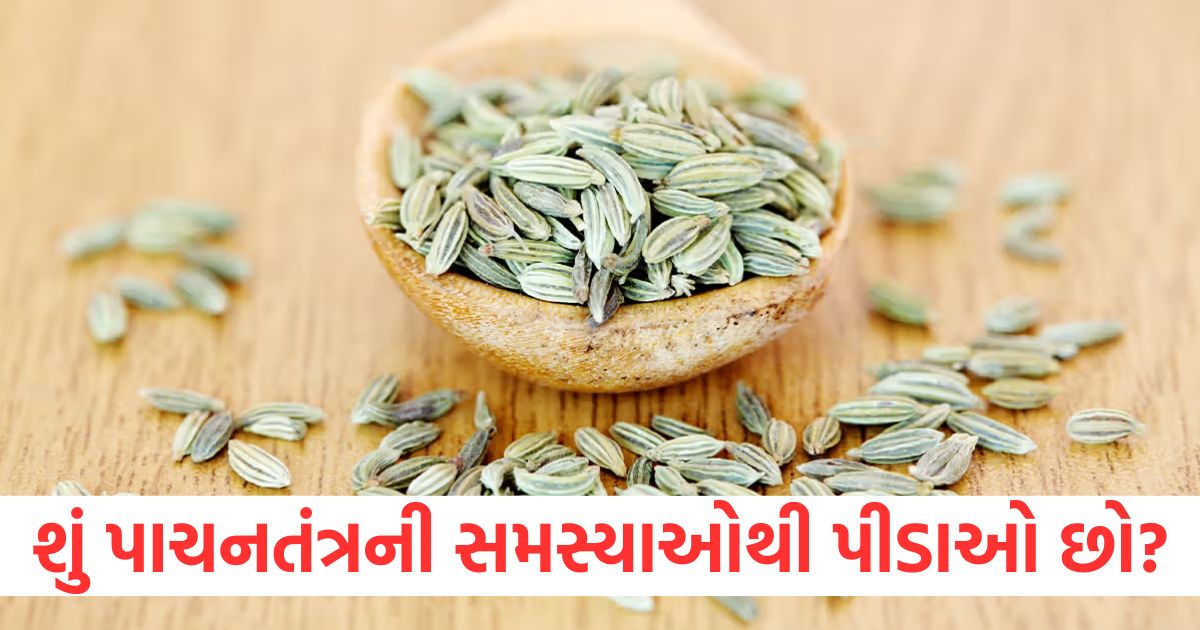 fennel seeds with jaggery benefits how to keep digestive system healthy and acidity relief1